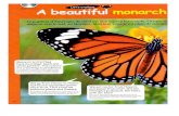 mai 22 23 - ecolereinemathildecaen.etab.ac-caen.fr · migrent vers le sod, au Mexique. Mais leur voyage est plein de dangers Monarch butterflies have an orange, black and white pattern.