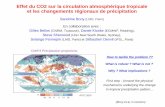 Effet du CO2 sur la circulation atmosphérique tropicale et ... · Effet du CO2 sur la circulation atmosphérique tropicale et les changements régionaux de précipitation Sandrine