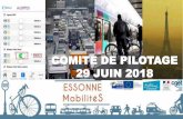 COMITE DE PIL O T A GE 29 JUIN 2018 - Essonne ….../$ 0 2 % ,/,7e 8 1 )$ & 7( 8 5 & /e ' ·,1 6 ( 5 7,2 1 /·( 0 3 /2 , Freins à la mobilité couplés avec G DXWUHVGL IILFXOWpV Bas