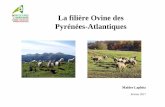 La filière Ovine des Pyrénées-Atlantiquesgis-id64.org/wp-content/uploads/2018/05/5.1.15.pdf · 2018-05-28 · La filière ovins lait française : les chiffres clés Localisation