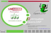 Les annuaires LDAP - Optimisation du logiciel OpenLDAP€¦ · Performances & architecture permettant d’obtenir des charges extrêmes : ... – set_cachesize