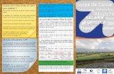(SMIC) SALARIÉ Je suis allocataire Pôle Emploi AGRICOLEdaaf.reunion.agriculture.gouv.fr/IMG/pdf/Annexe_3-1... · 2017-06-26 · en fonction des revenus du trimestre précédent.