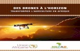 DES DRONES À L’HORIZON · ii RAPPORT DU PANEL DE AUT NIEAU APET DES DRONES À L HORIZON TRANSFORMER L AGRICULTURE EN AFRIQUE Membres du Panel de haut niveau africain sur les technologies