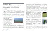 Faits saillants - État de situation sur les cyanobactéries ... › ... › faits-saillants.pdf · Faits saillants - État de situation sur les cyanobactéries à la baie Missisquoi