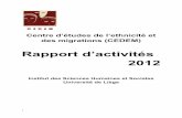 Rapport d’activités 2012 - Labos ULglabos.ulg.ac.be/cedem/wp-content/uploads/sites/14/2011/... · 2014-11-17 · 2 Introduction Ce treizième rapport du CEDEM couvre les activités