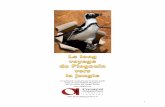 Le long voyage du Pingouin vers la jungle · 2019-11-15 · 2 mise en scène d’André Roche Le long voyage du Pingouin vers la jungle spectacle musical -création 2018pour le jeune