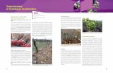 et techniques de plantation - Techniloire · LISEVE-MDB porté par l’ATV 49 financé par la région Pays de la Loire étudie l’impact de soudures com-plètes ou incomplètes sur