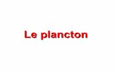 Le plancton - WordPress.com › ... · 2015-06-30 · El plancton es el conjunto de vegetales y animales acuáticos que derivan a merced de las corrientes. Generalmente microscópicos
