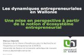 Les dynamiques entrepreneuriales en Wallonie Une mise en ... · - Global Entrepreneurship Monitor - GEM, 2014 Global report. - Global Entrepreneurship Monitor- GEM, 2015/2016 Global