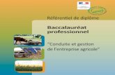 “Conduite et gestion de l’entreprise agricole” · 2019-01-21 · représentent 1,6% du PIB national (2010). L'agriculture est un secteur économique moderne produisant des biens