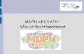 MDPH et CDAPH : Rôle et fonctionnement › avs › documents-de... · La MDPH La loi du 11 février 2005 pour l'égalité des droits et des chances, la participation et la citoyenneté