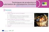 Techniques de production et valorisation de …eforown.ctfc.cat › pdf › 54_Techniques_production...Ramassage de champignon en Belgique 10 ues d de s rs Espagne : Les champignons,