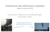 (dans la vraie vie - NORMANTIBIO€¦ · (dans la vraie vie ) Journée des référents en antibiothérapie 18 octobre 2019 Mathilde Réveillon-Istin (ASR MIT Rouen-Le Havre) Cas clinique