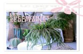 LES SUCCULENTES SCULPTURESagence.shortcut.fr › CPDP › RP › DP › DP-Succulentes-Luc... · 2016-06-08 · sculptures. plantes grasses aux formes monstrueuses, les succulentes