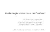 Pathologie coonaie de l’enfantDr Antoine Legendre Cardiologie pédiatrique et congénitale - CHU Necker Pathologie coonaie de l’enfant DIU de cardiologie pédiatrique et congénitale
