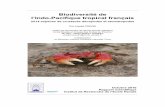 Biodiversité de l’Indo-Pacifique tropical français › pdfs › 31615 › 31615.pdfBiodiversité de l’Indo-Pacifique tropical français 2514 espèces de crustacés décapodes