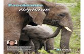 Pour élèves du primaire (8-10 ans) ééléphantsléphants · simulation et jeu de rôle 15 Leçon 3 : L’importance des éléphants dans leur écosystème ... foule de ressources