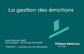 La gestion des émotions - Clinique Saint-Luc Bouge › wp-content › uploads › 2017 › 03 › la-gestion-des... · 2017-04-28 · L'intelligence émotionnelle au travail. Village