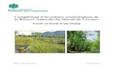 Complément d’inventaire aranéologique de la Réserve Naturelle … · 2014-07-16 · 1 Introduction Un programme d’inventaire de la faune invertébrée de la forêt a été