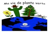 American Society of American Society ofPlant Biologists Plant … · 2020-03-03 · 12 6 2 9 13 8 5 11 10 Colorie toutes les parois cellulaires (P) en brun. Colorie toutes les cellules