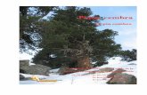 Pinus cembra - ecole-homeopathie-auvergne-rhone-alpes.com › ... · Marie-Claire Kressman Florence Lapprand Emmanuelle Lefebvre Marie Lopez Jean-Luc Mabilon Louis Mathieu Jean-Marc