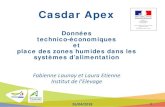 Casdar Apex - Pays de la Loire...Casdar Apex Données technico-économiques et place des zones humides dans les systèmes d’alimentation Fabienne Launay et Laura Etienne Institut
