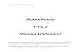 RobotSaisie V4.5.3 Manuel Utilisateurjean-louis.pasturel.pagesperso-orange.fr/docs/manuelrb453.pdf · Manuel Utilisateur RobotSaisie V4.5.3 RobotSaisie V4.5.3 Manuel Utilisateur Le