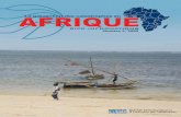 La prévention des catastrophes en Afrique€¦ · des affaires humanitaires. Et aussi longtemps qu’elle est perçue comme une « affaire humanitaire », les ressources lui allouées