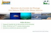 Réunion du Comité de Pilotage Site Natura 2000 …cotebleuemarine.n2000.fr › sites › cotebleuemarine.n2000.fr › ...2019/01/24  · Réunion du Comité de Pilotage Site Natura