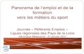 Panorama de l’emploi et de la - DRDJSCS des Pays de La Loirepays-de-la-loire.drdjscs.gouv.fr/sites/pays-de-la... · 91 Bibliothèques, archives, musées et autres activités culturelles