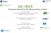 Towards Global Earth Observation of Rice LeToan_0.pdfآ  2018-06-22آ  Towards Global Earth Observation
