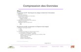 Compression des Donnéesthierry.paquet.free.fr › Enseignement › Compression_M2I.pdfCompression: Évaluation des Run-Length sur 8 documents Différents les plus fréquents: 2,3,4