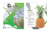 GI - DAAF de La Réuniondaaf.reunion.agriculture.gouv.fr/IMG/pdf/Guide... · agro-tourisme, accueil à la ferme ou transformation des produits qui impliquent d'être également formé.