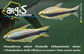 Nematobrycon palmeri #Scutariella #Telmatochromis vittatus ...aquaticnotes.com/content/pub/ES/argos6.pdf · Las gambas dulceacuícolas tropicales (géneros Caridinay Neocaridina,