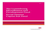 The Luxembourg Microfinance and Development Fund Social ... · L'ADA s’appuie sur une longue expérience de ges- ... Niveau 3 Niveau 4 70% 35% 0% Source: Adaptation de J. Meehan