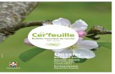 Cer'feuille - site web commune de Cercier › download › Bulletins › Cercier... · Conseil municipal du 31 mars 2016 ... de Cernex, de Copponex, de Cuvat, de Menthonnex-en-Bornes,