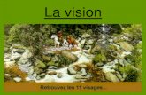 La vision - unice.frgrammont/l2psy/l2psy2.pdf · Les effets de mouvements sont donc d’autant plus efficaces en vision périphérique, alors que la vision fovéale fixe une cible.