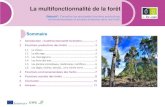 La multifonctionnalité de la forêteforown.ctfc.cat/pdf/4_La_multifonctionalite_de_la_foret.pdf · 2019-08-20 · en filtrent les particules en suspension. De plus, le recours aux