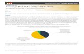 Analyses d’ESG Lab Stockage Dell EMC Unity 100 % Flashdocs.media.bitpipe.com › io_14x › ... › ESG...Nov-2017.pdf · Bien que les PME soient confrontées aux mêmes problématiques