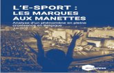 L’E-SPORT · 2019-08-02 · 2.3 Inteview d’un homme multifacette: Philippe Rodier 11 11 12 ... Charleroi eSports Tournament qui accueillait en avril 2019 huit équipes mondialement