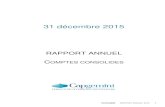 RAPPORT ANNUEL COMPTES CONSOLIDES · CAPGEMINI RAPPORT ANNUEL 2015 5 PRODUITS ET CHARGES COMPTABILISÉS EN CAPITAUX PROPRES en millions d’euros 2014 2015 Ecarts actuariels sur les