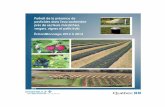 Portrait de la présence de pesticides dans l’eau souterraine près · PDF file 2016-05-18 · Portrait de la présence de pesticides dans l’eau souterraine près des secteurs
