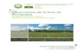 Observatoire de la flore de Bourgognecbnbp.mnhn.fr/cbnbp/cbnbp/telechargement/OFB_2009_2019... · 2017-02-07 · Observatoire de la flore de Bourgogne page 5 Programme 2009-2019 CBNBP
