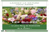 LAISSEZ LA NATURE VOUS AIDER - Brageirac Fleuri › wp...bulbes-estivaux-2016.pdf · Type de bulbe des plantes annuelles, la plupart d'entre eux excellent également par leur période