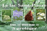 Le lac Saint-Pierrecomiteziplsp.org/wordpress/wp-content/uploads/fiche_pare/... · 2019-02-05 · Alors que certaines plantes peuvent être consommées en entier, d’autres n’ont