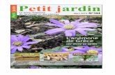 p3 Travaux du mois p11 - Graines et Plantes › Magazine-petit-jardin-144.pdf · C'est bien en ce mois printanier que les plantes d'intérieur se plaisent à pousser. Dans quelques