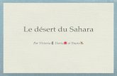 Le désert du Sahara · Le désert du Sahara se situe dans la partie nord du continent africain. Il s'étend sur 5000 km de l'océan Atlantique à la mer Rouge et couvre près de