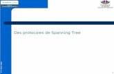 Des protocoles de Spanning Tree - univ-reims.fr › ~fnolot › Download › Cours › ...F. Nolot 2008 8 Le Spanning Tree Algorithm 802.1D Le switch qui possède la plus petite Bridged