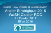 Atelier Stratأ©gique 2016 WaSH Cluster RDC ... Resume Lignes directrices du Cluster Strategie Cluster
