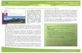 DOSSIER : Energies renouvelables en montagne › attachments › article › 962 › LMM_39.pdf · DOSSIER : Energies renouvelables en mon-tagne Eolien : réaction des associations